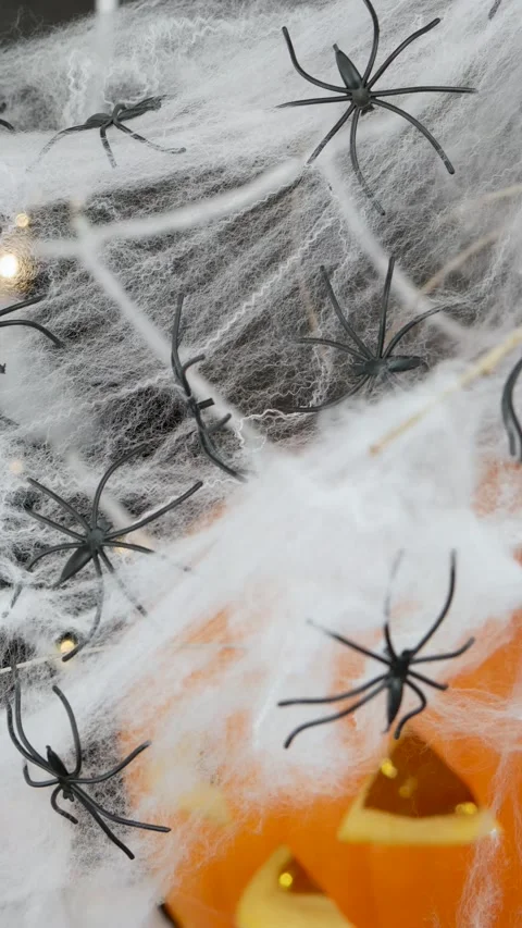 Many small spiders on a white web on Halloween against the background of a .. Stock Footage 317977224
