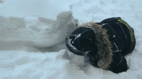 Many snow , winter 008 Stock Footage 10737975