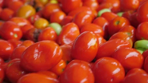 Many spanking tomatoes moving quickly on a conveyor line in agricultural plant Stock Footage 119966871