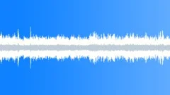 Many sparrows chirpingSound Effect