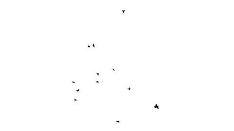 MANY SPARROWS FLYING UNDERSIDE B Vídeos de archivo 101464412