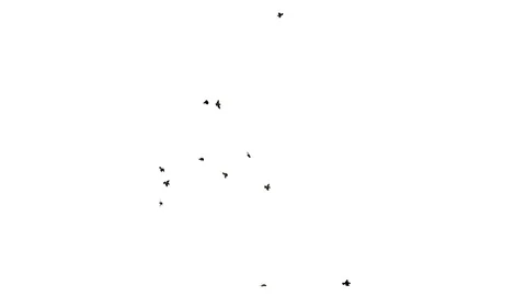 MANY SPARROWS FLYING UNDERSIDE D Vídeos de archivo 101464403