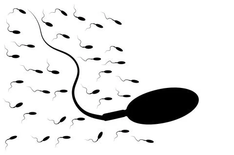 Many sperm isolated on white background. Stock Illustration