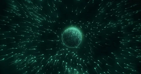 Many sperms surrounding egg  Stock Footage 73515730