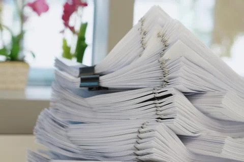 Many stack of white document Фото