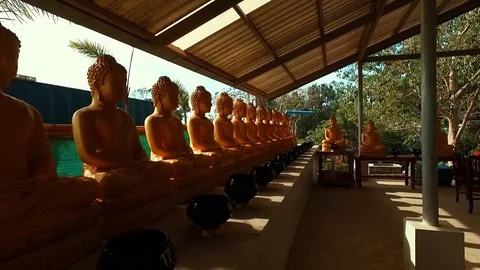 Many statues of Buddha in the temple. Stock Footage 69953669