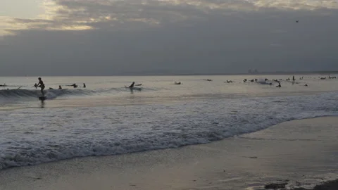 Many sufers in the Evening Stock Footage 138784058