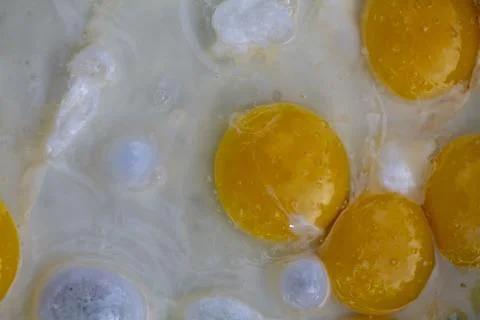 Many Sunny-Side Up Fried Eggs Closer UP Stock Photos