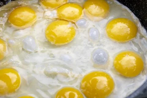 Many Sunny-Side Up Fried Eggs Closer UP Stock Photos