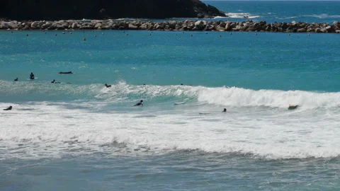 Many surfers waiting for the wave Stock-Footage 131552864