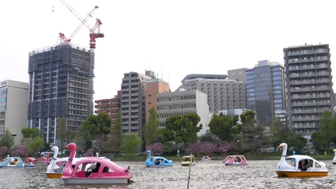 Many swan boats float on lake at Tokyo downtown Stock Footage 93154232