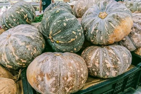 Many sweet pumpkin Stock Photos