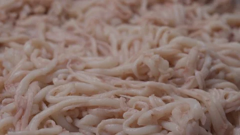 Many tentacles Stock Footage 118274752