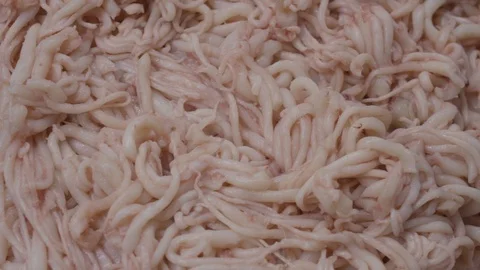 Many tentacles Stock Footage 118274753