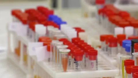 Many test-tubes standing on holder Video stock 97919339