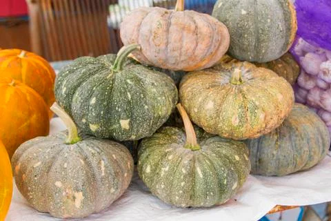 Many Thai pumpkins stack together. Stock Photos