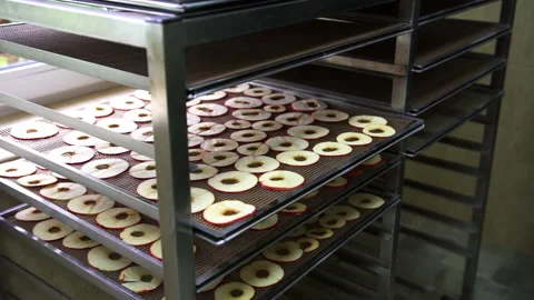 Many thinly sliced apple rings are spread on a netted surface at the enterprise  Stock Footage 132352100