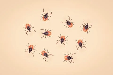 Many ticks on a yellow background Stock-Fotos