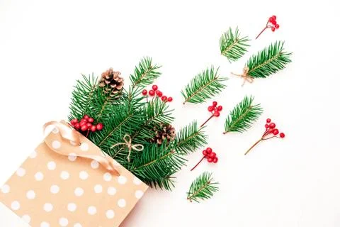 Many tree branches Foto stock