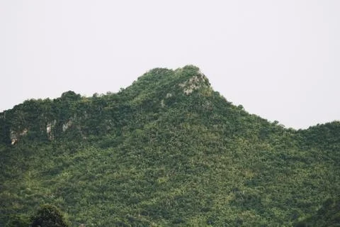 Many tree on mountain with clouds in Thailand. Tropical rain forest with blue Foto stock