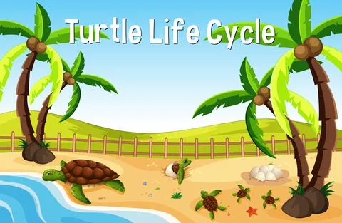 Many turtles on the beach scene with Turtle Life Cycle Font Stock Illustration