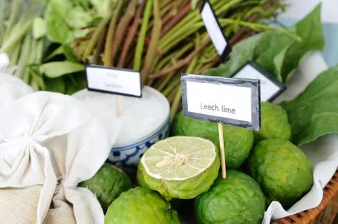 Many type of Thai herbs for spa. Stock Photos