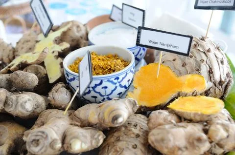 Many type of Thai herbs for spa. Stock Photos