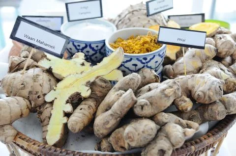 Many type of Thai herbs for spa. Stock Photos
