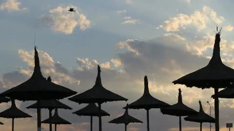 Many umbrellas on the beach before the sunset Stock Footage 12274282