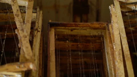 Many used honeycombs for beekeeping Stock Footage 202221756