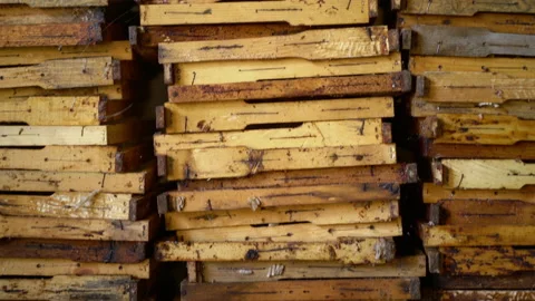 Many used honeycombs for beekeeping Stock Footage 202222105