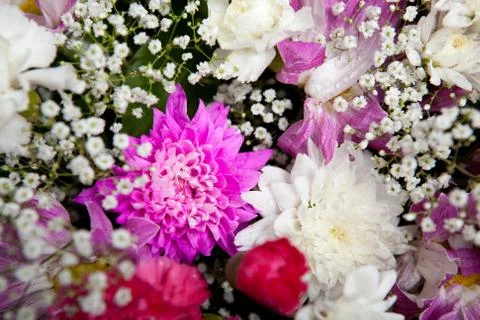 Many various flowers as a present Stock Photos