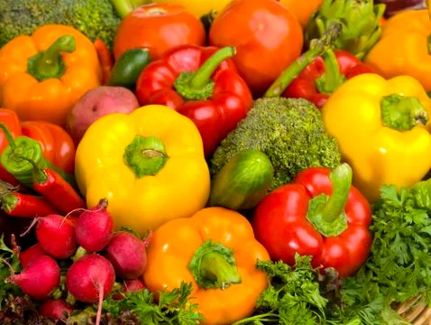 Many vegetables Stock Photos