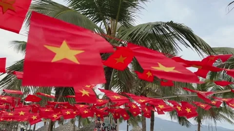 Many Vietnamese Flags Fluttering in Wind Among Palm Trees during National Stock Footage 341456136