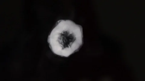 Many vortex rings moving towards screen with shallow focus , slow motion Stock Footage 115769894