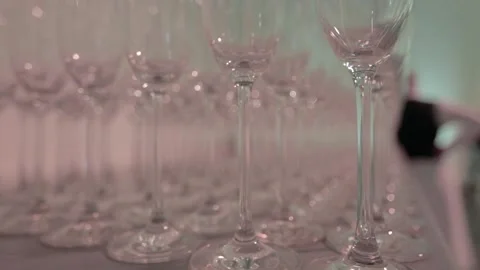 Many Waiter's on the work Stock Footage 145660738