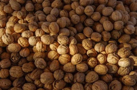 Many walnut brown nuts in shell on the market background pattern Stock Photos