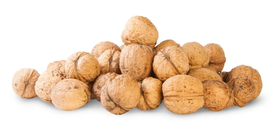 Many walnut piled up Stock Photos