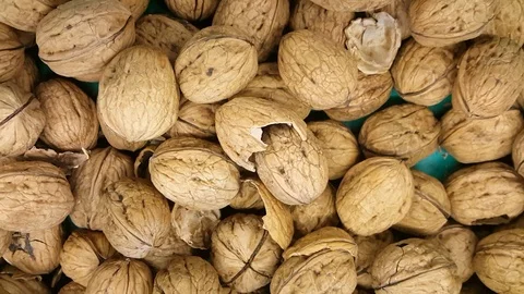 Many walnut, walnuts harvest,walnuts on vegatable market stall, fresh walnut Stock-Footage 114817003