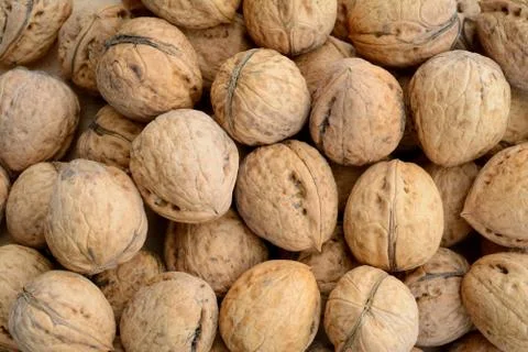 Many walnuts - background Stock Photos