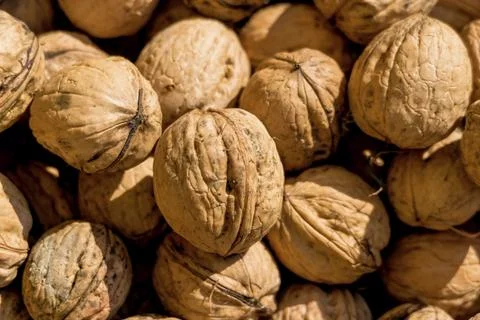 Many walnuts close-up, symbol for solving problems, abundance, hardness Austria 스톡 사진