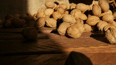 Many walnuts fall in slow motion on a wooden brown plank surface illuminated by  Stock Footage 219965170