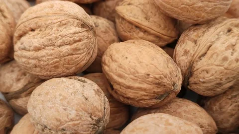 Many walnuts Stock Footage 166582299
