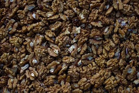 Many walnuts kernels in the garden Stock Photos