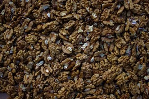 Many walnuts kernels in the garden Stock Photos