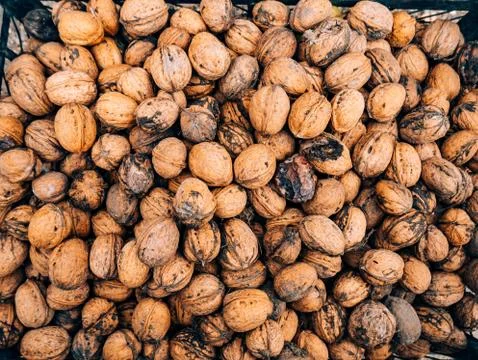 Many walnuts. Nuts in a box 스톡 사진