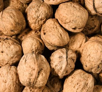 Many walnuts Stock Photos