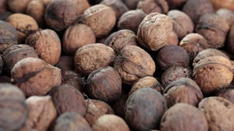Many walnuts in the shell. Nuts are good for the brain. Pile of walnuts close-up Stock Footage 214088222
