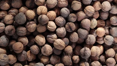 Many walnuts in the shell. Nuts are good for the brain. Pile of walnuts close-up Stock Footage 214088230