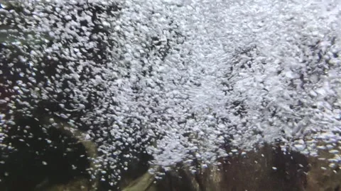 Many water bubbles in the aquarium. Stock Footage 278081708